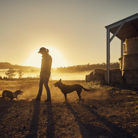 Farmer with sunset behind her