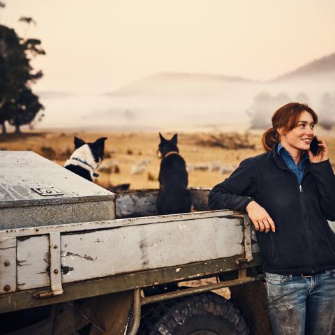 Farmer on the phone with her farm dogs