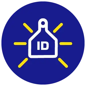 ID TAGS BLUE